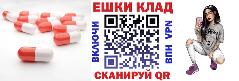 купить  сайты  Чита  ЭКСТАЗИ Philipp Plein 
