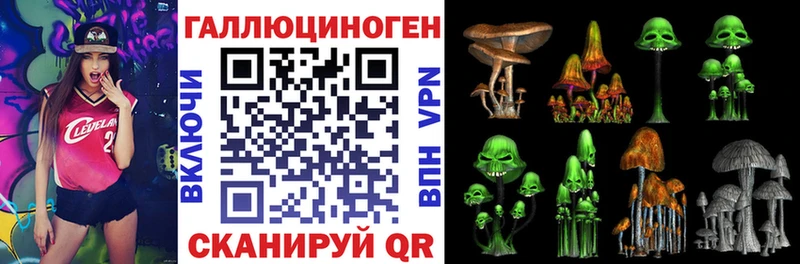 Псилоцибиновые грибы GOLDEN TEACHER  кракен как войти  Чита 